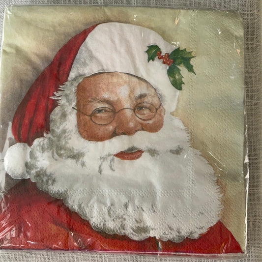Seasonal Luncheon Napkins