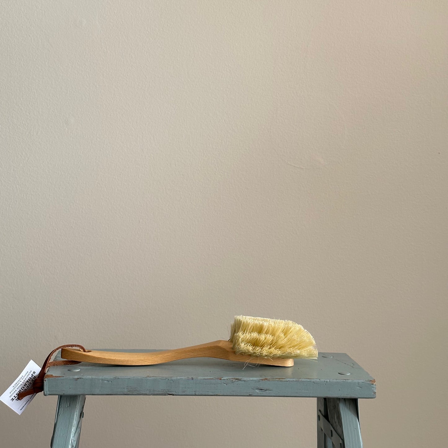 Dish Brush Curved