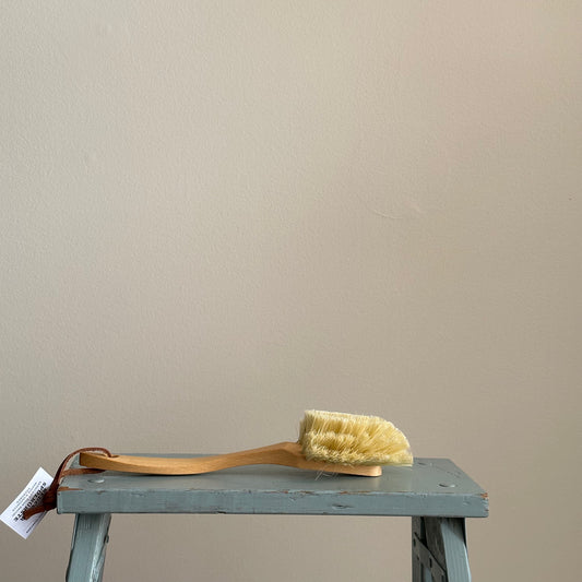 Dish Brush Curved