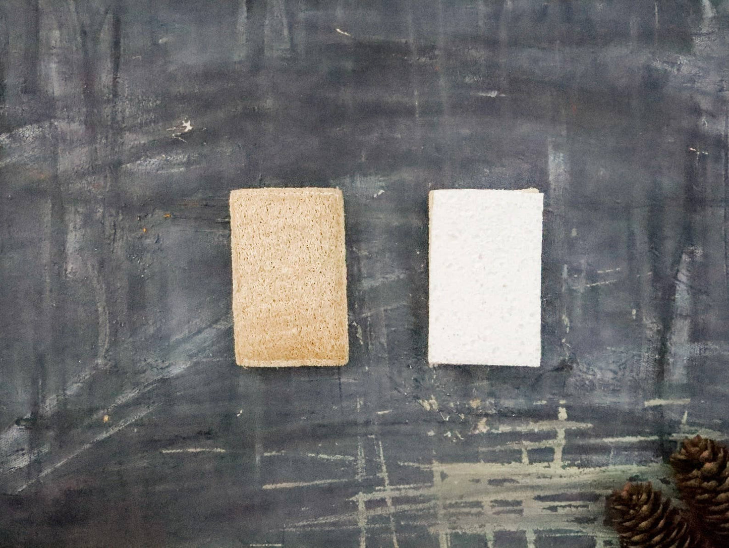 Plantish - Eco Sponge