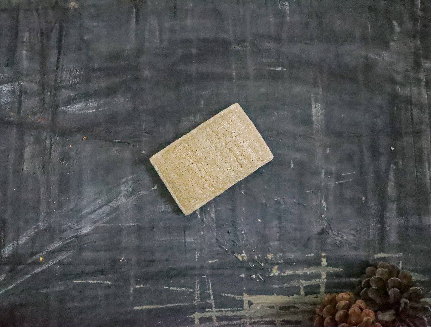 Plantish - Eco Sponge