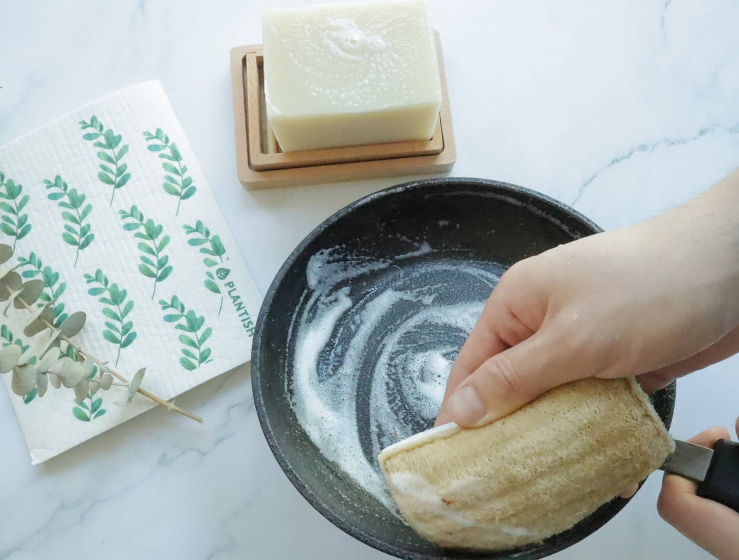 Plantish - Eco Sponge
