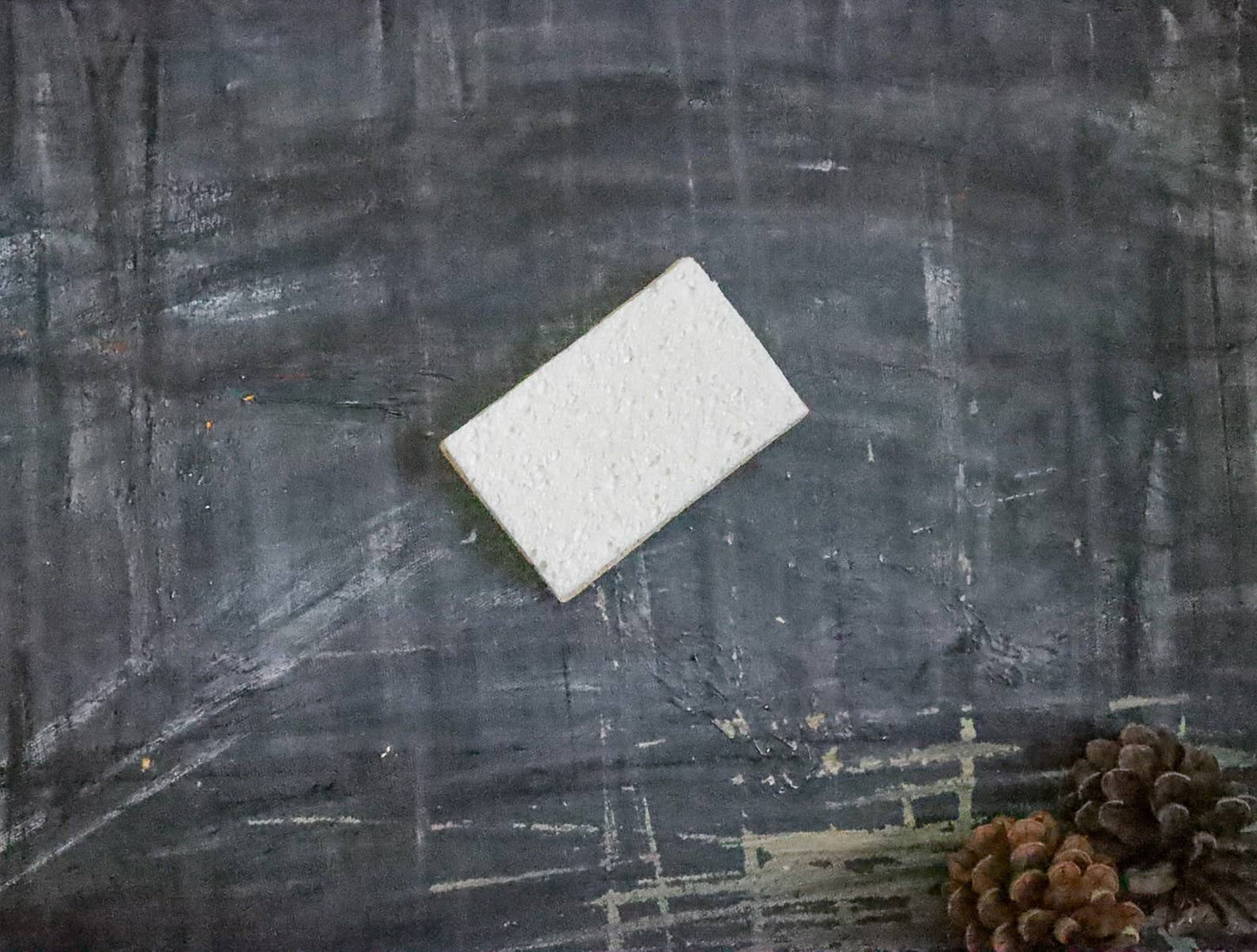 Plantish - Eco Sponge