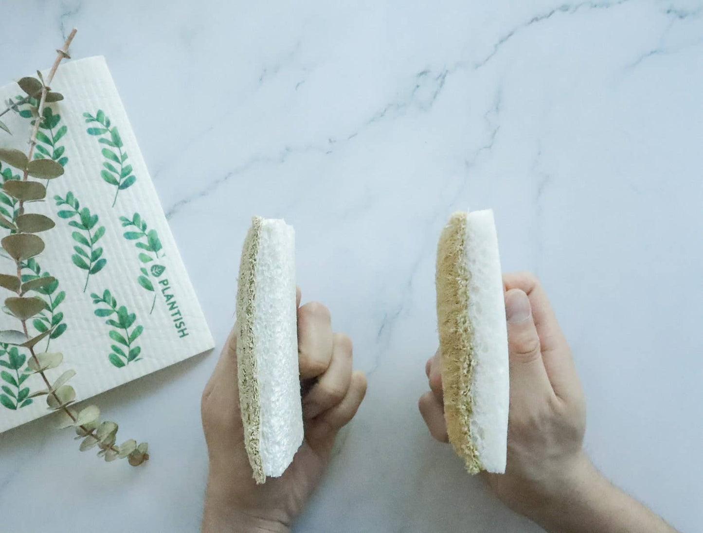 Plantish - Eco Sponge