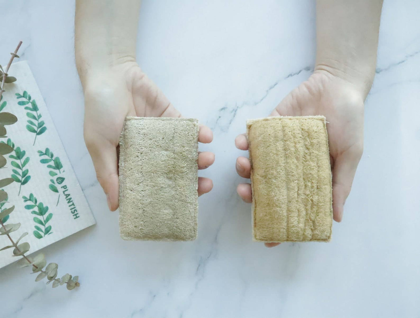 Plantish - Eco Sponge