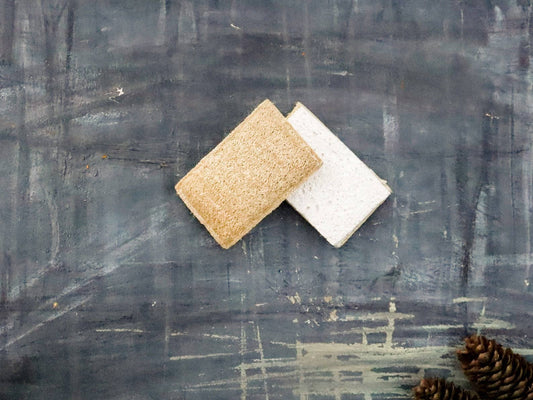 Plantish - Eco Sponge