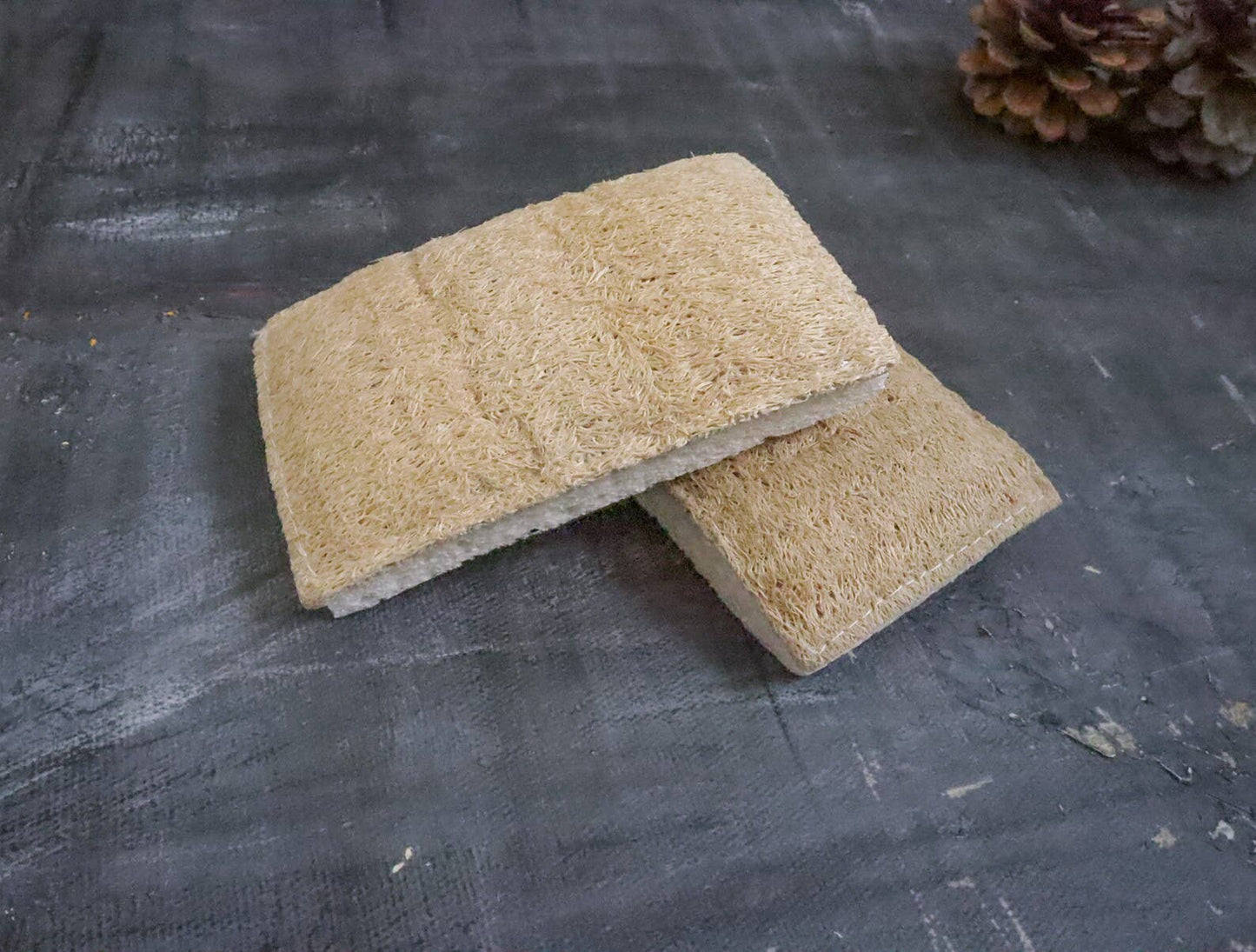 Plantish - Eco Sponge