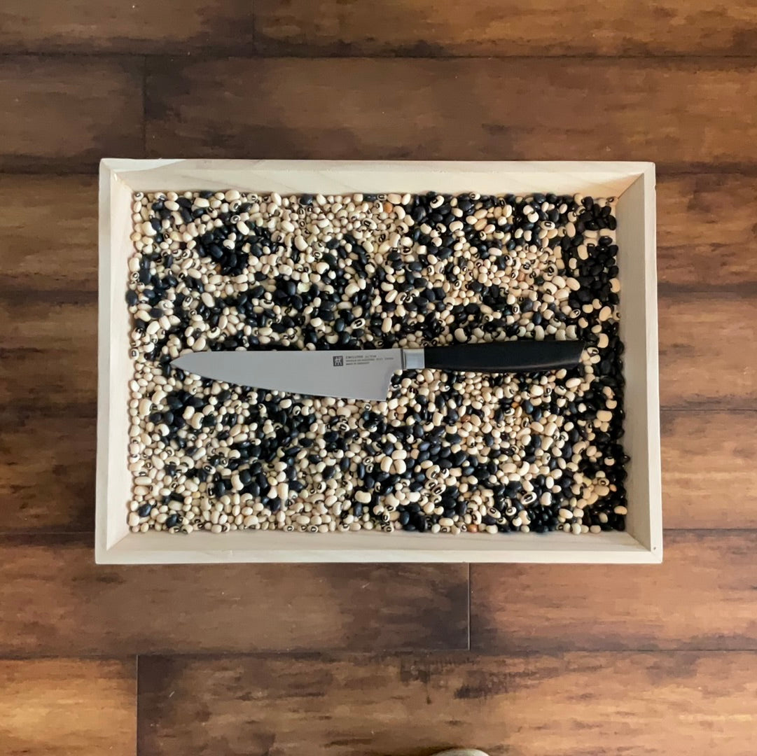 Zwilling Pro 5” Serated Knife